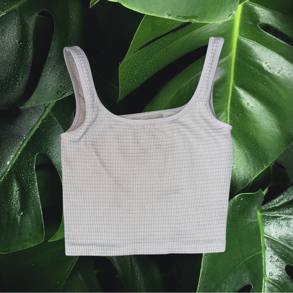 Bella seamless crop top